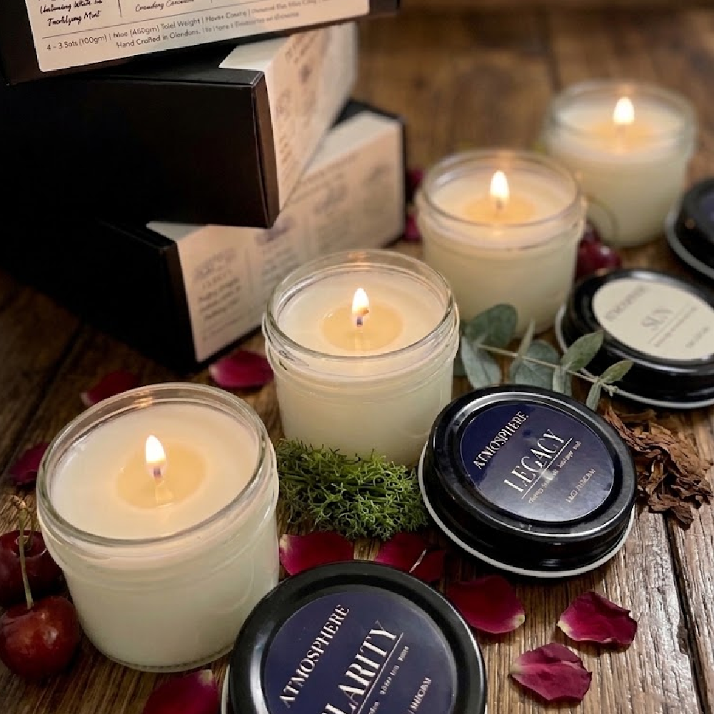 The Icons Discovery Set styled with eucalyptus leaves, wood bark, and red rose