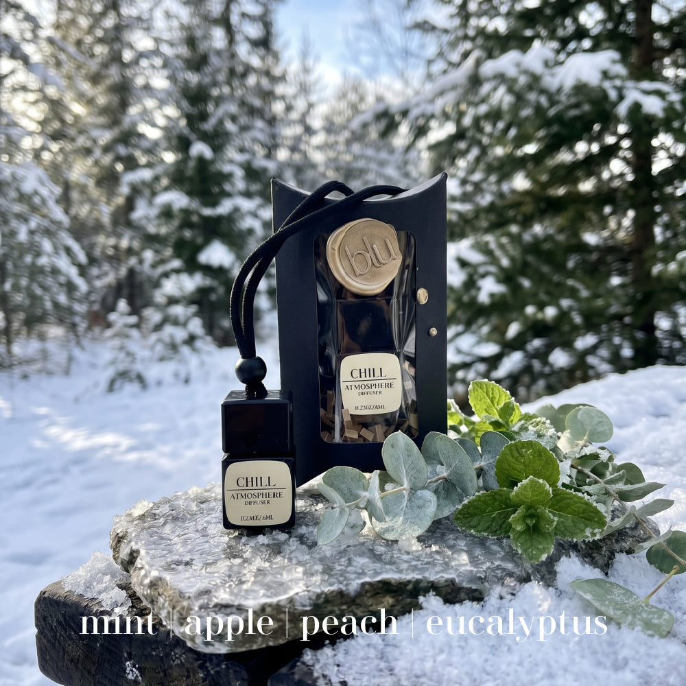 CHILL eucalyptus mint car diffuser in luxury packaging on snow with fresh mint and eucalyptus